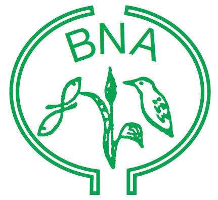 BNA